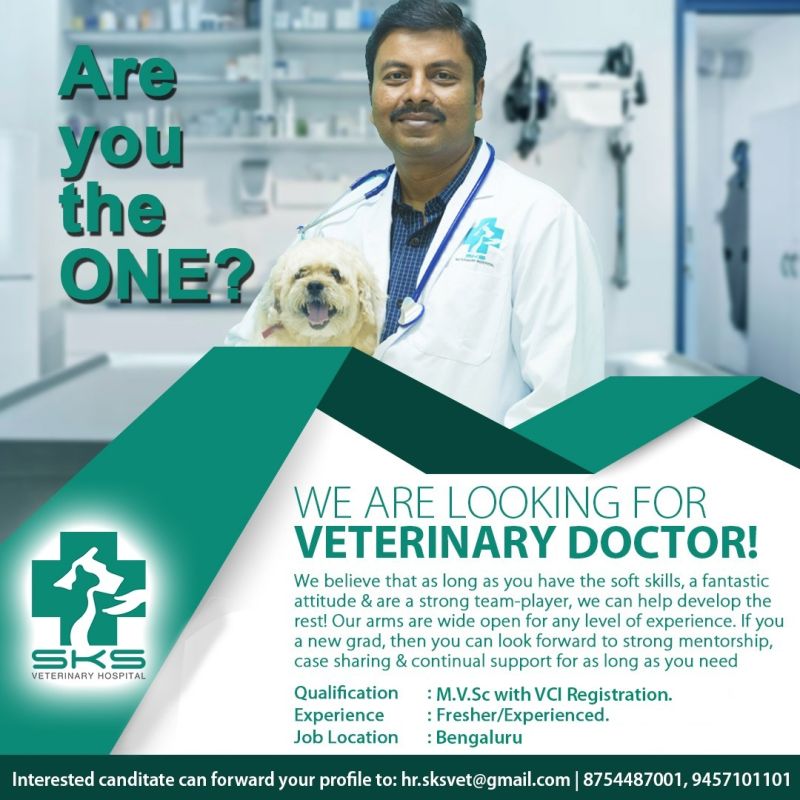 Dr Khalander N, MVSc.(Animal Nutrition) - Hosur, Tamil Nadu, India |  Professional Profile | LinkedIn