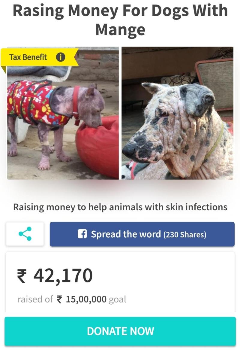 People For Animals India - Delhi, India | Professional Profile | LinkedIn