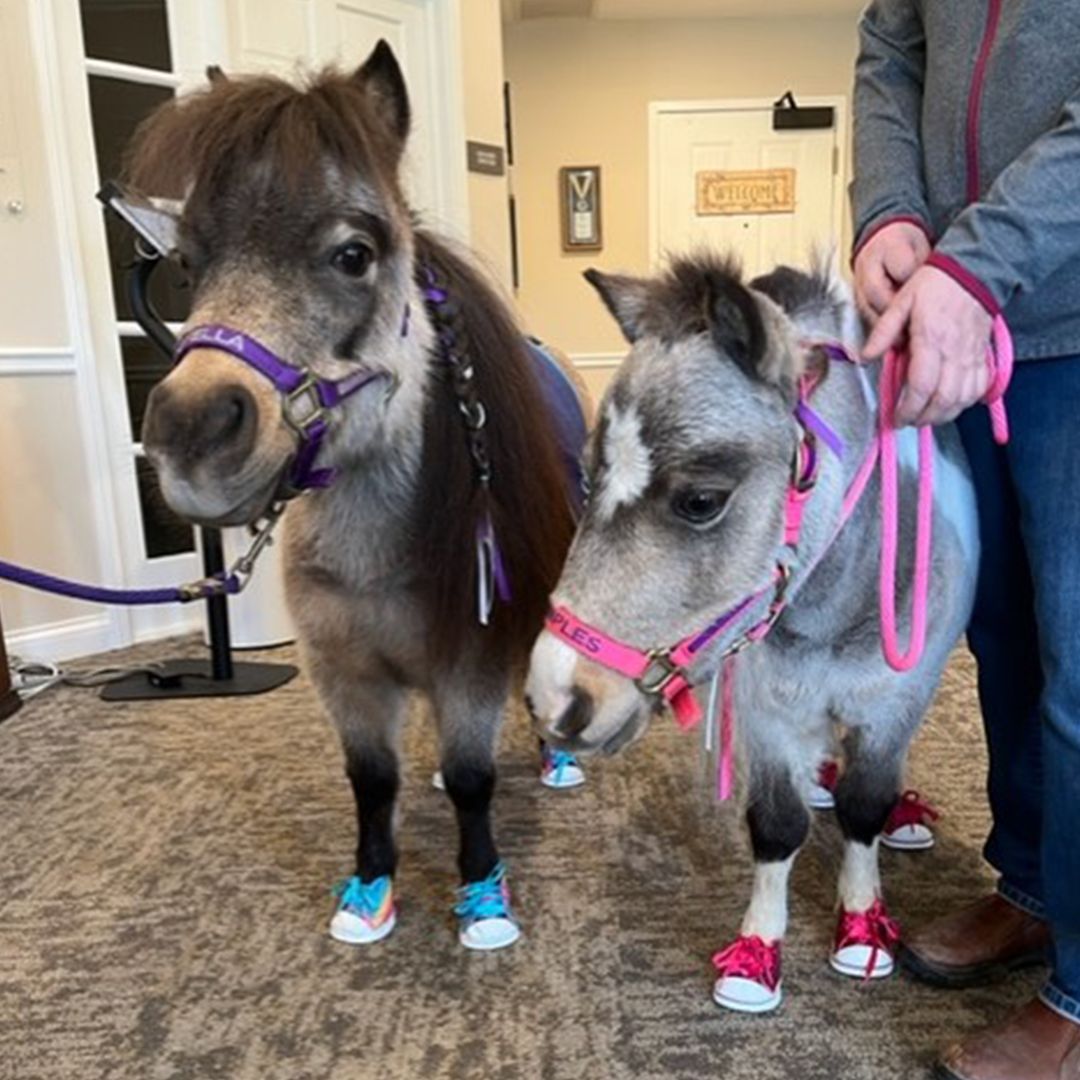Arden Courts on LinkedIn: The residents Arden Courts A ProMedica Arden Courts on LinkedIn: The residents Arden Courts A ProMedica