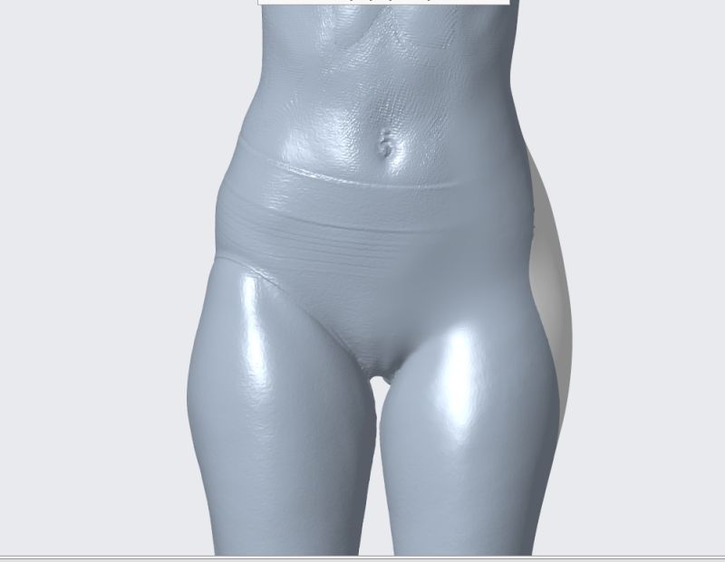 David Shelton on LinkedIn: Skinister designs realistic silicone shapewear  appliances from 3D scans.