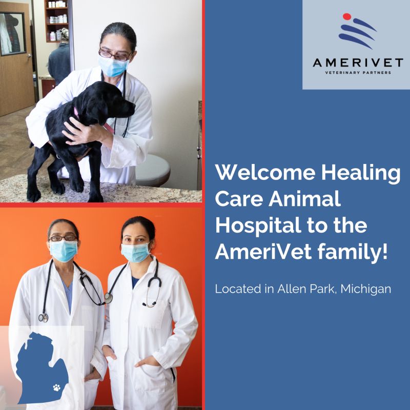 Erica Sweet - Critical Care Nurse - VCA Animal Hospitals | LinkedIn