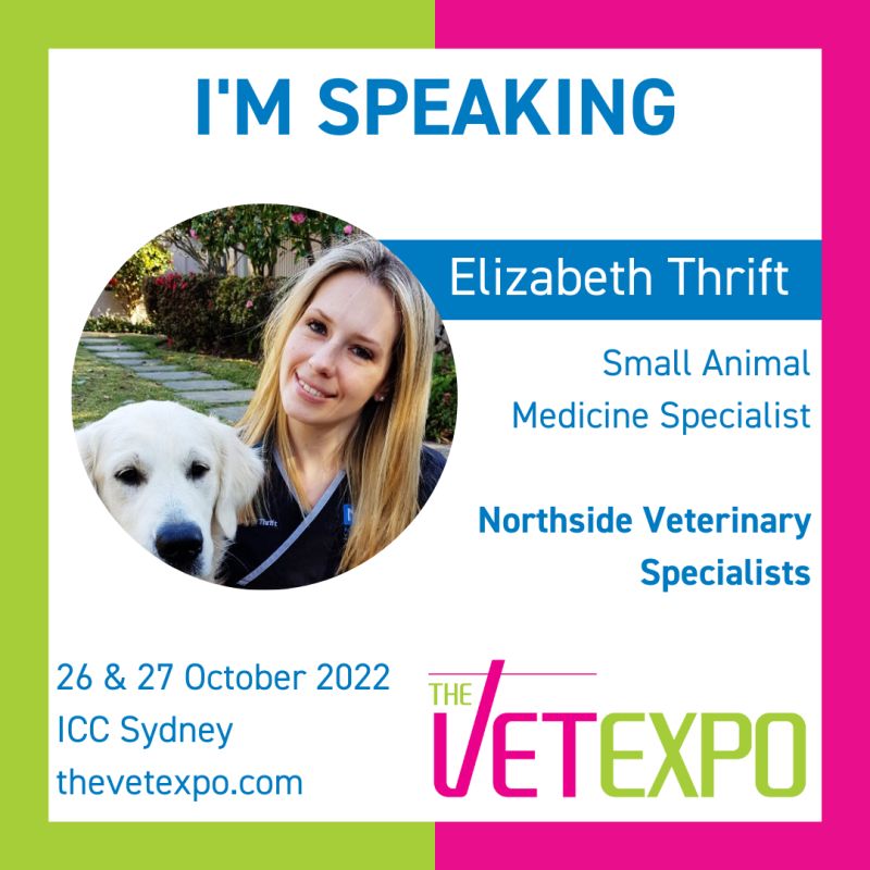 Amandine Tena - Small Animal Internal Medicine Registrar - Brisbane  Veterinary Specialist Centre | LinkedIn