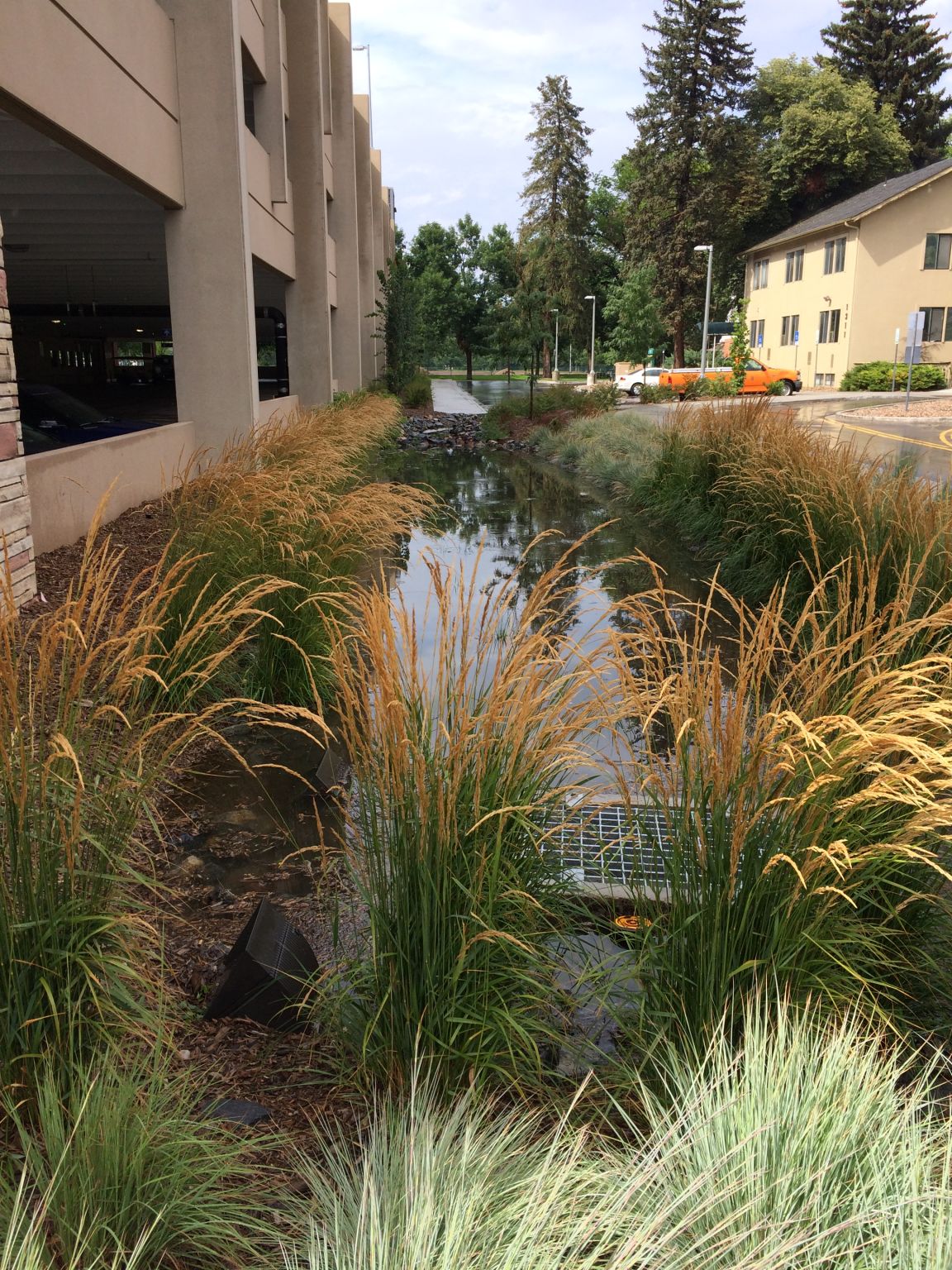 Colorado Stormwater Center on LinkedIn: The Stormwater Control Measure Colorado Stormwater Center on LinkedIn: The Stormwater Control Measure