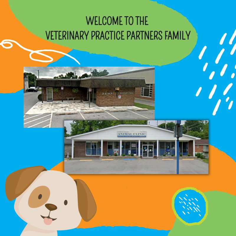 Jasmine Washington - Practice Manager - Riverbend Veterinary PetCare  Hospital | LinkedIn