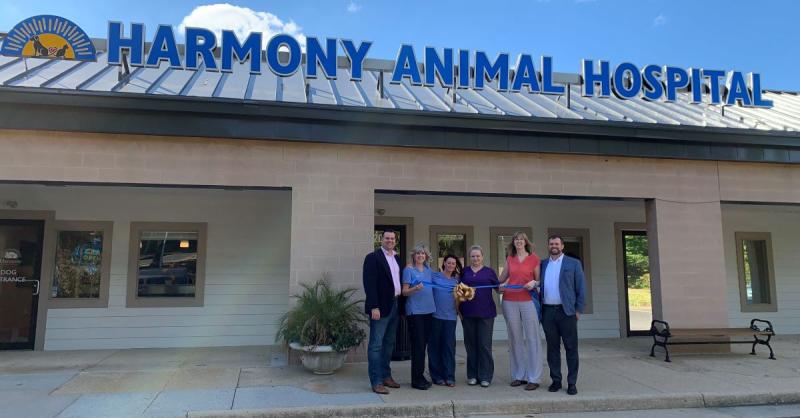 Casandra Fowler - Owner - Harmony Animal Hospital VA | LinkedIn
