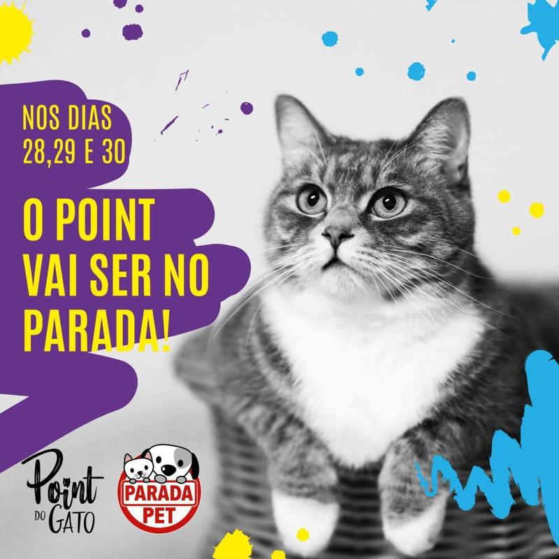 Point Do Gato