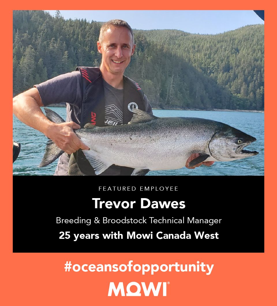 Trevor Dawes on LinkedIn: Always exciting Performance Evaluation Trevor Dawes on LinkedIn: Always exciting Performance Evaluation