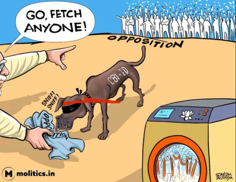 Satish Acharya - Professional Cartoonist - Self empolyed | LinkedIn