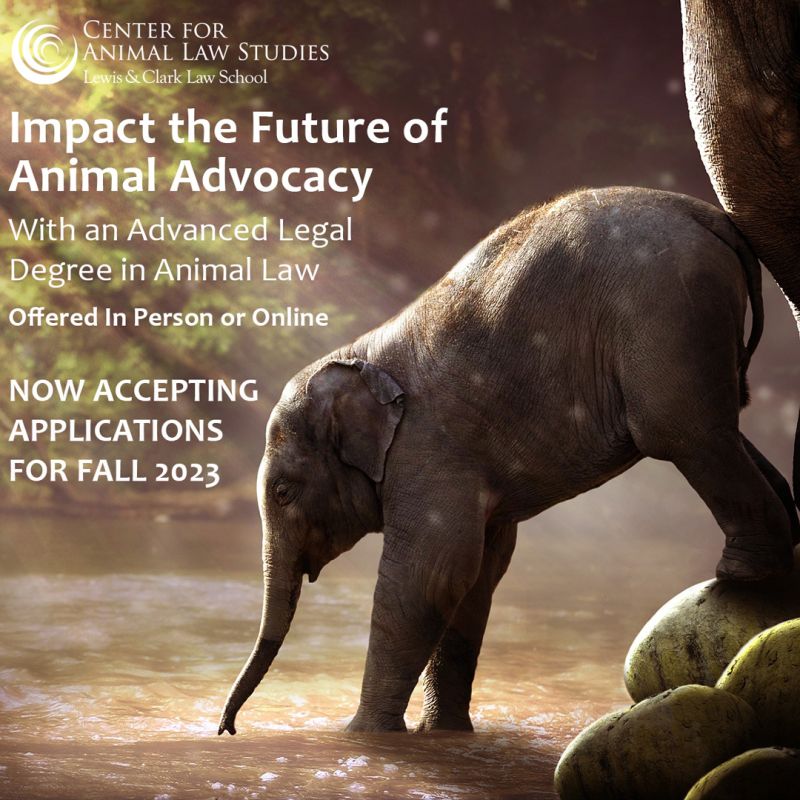 Rajesh Reddy - Animal Law Program Director - Center for Animal Law Studies  | LinkedIn
