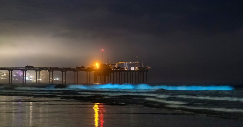 UC San Diego on LinkedIn: Nature put on an amazing light show