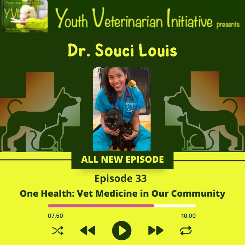 Souci Louis, VMD, MPH - Associate Veterinarian - VCA Animal Hospitals |  LinkedIn