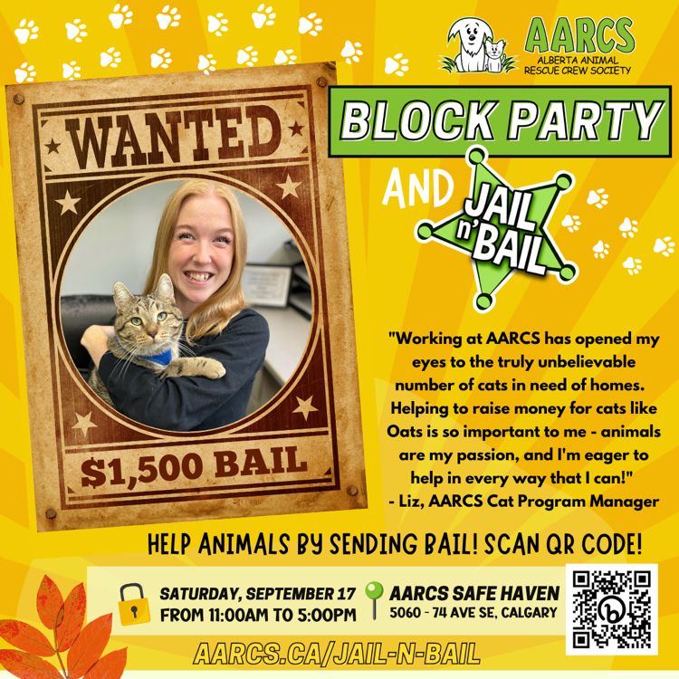 Elizabeth Dill - Cat Program Manager - Alberta Animal Rescue Crew Society |  LinkedIn
