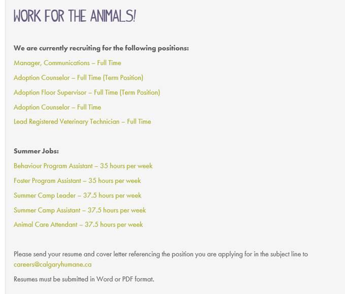 Tiarra Keim - Animal Health Assistant - Calgary Humane Society | LinkedIn