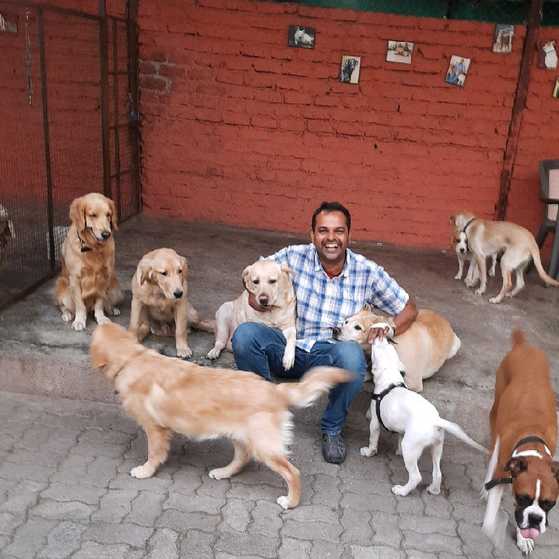 Unleash with Sam Gokhale - Pack Leader - Unleash ....The Dog Town | LinkedIn
