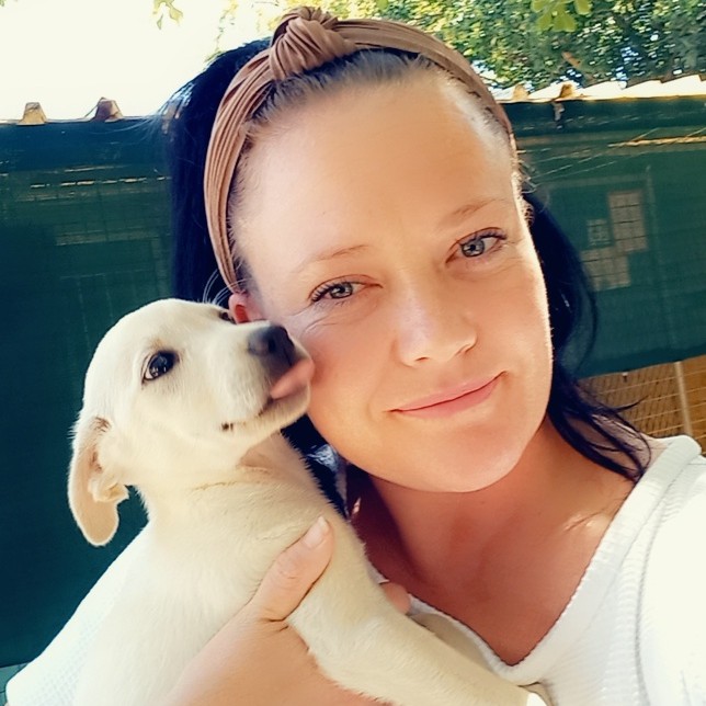 Jessica Perrins - General Manager - Animal Welfare Society Stellenbosch |  LinkedIn