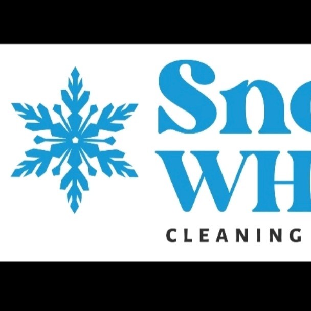 Suraya Ahmad - Cleaning Company Owner - Cleaning company | LinkedIn