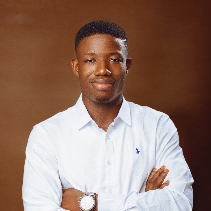 Fagbuyi Temitope Emmanuel - SAP BI developer - Thamani | LinkedIn