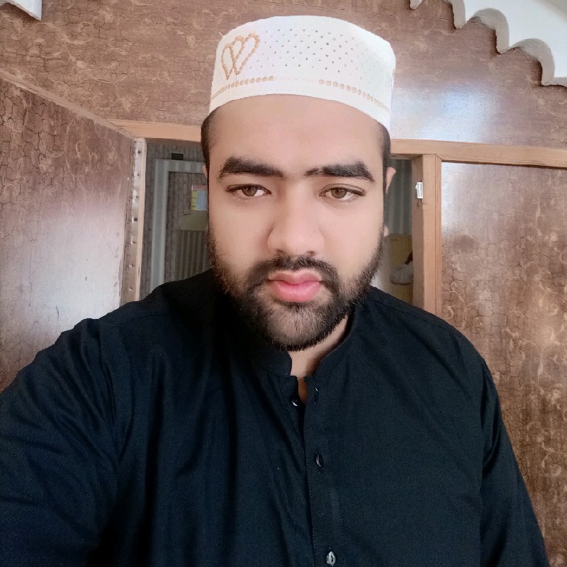Yasir Afzal - Application Developer - Blue Cap Pro | LinkedIn