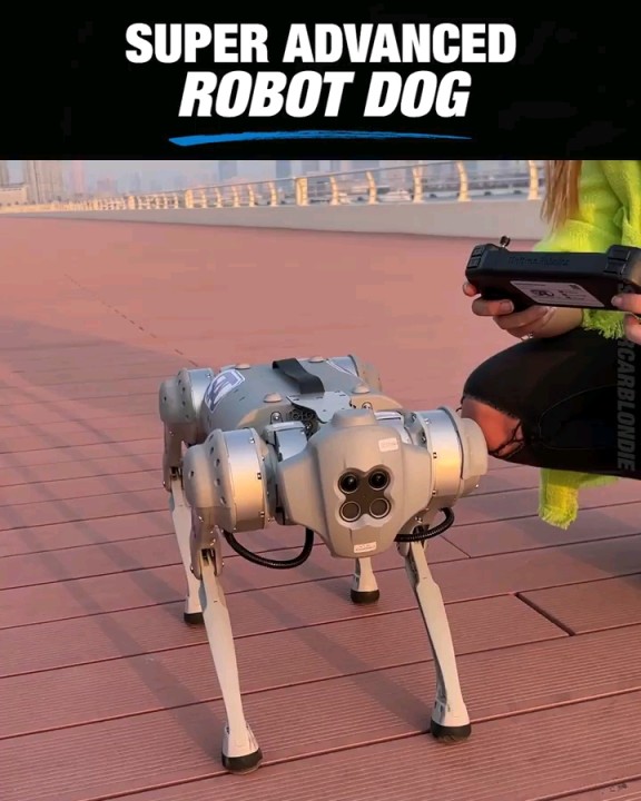 SUMEET SINGH THAKUR on LinkedIn: Super Advanced Robot Dog 👌