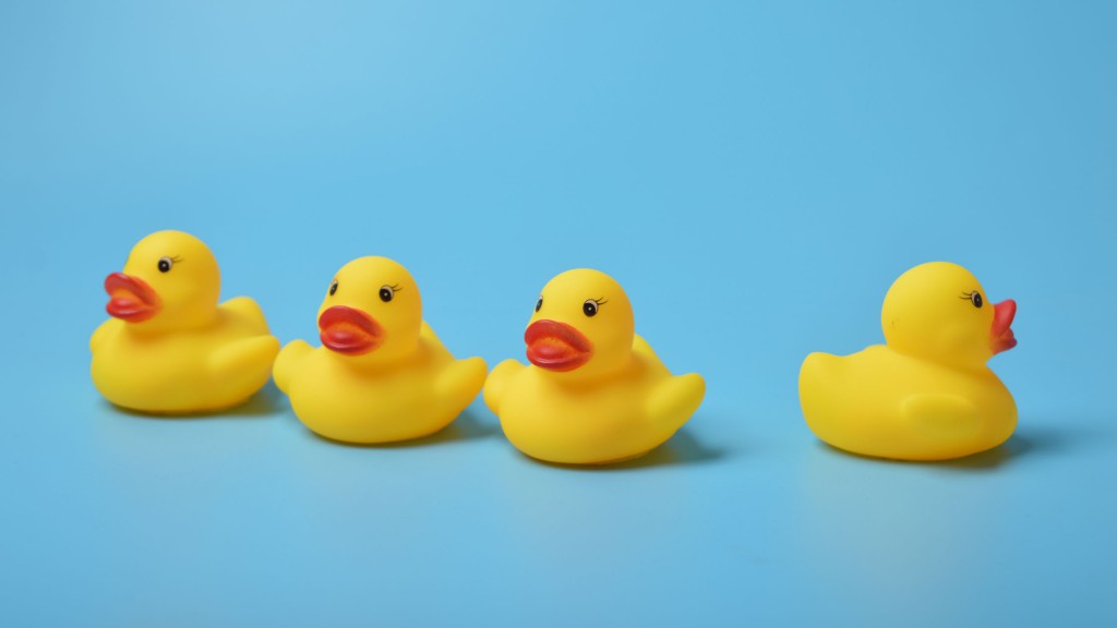 Photo of four yellow rubber ducks. Three are facing in the same direction; a fourth is looking away.