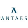 Antaes Consulting