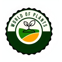 The world of plants for smart solutions عالم النباتات للحلول الذكية |  LinkedIn
