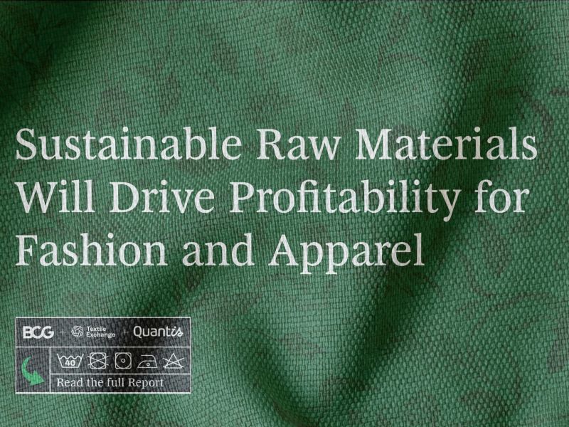 BCG report on sustainable raw materials