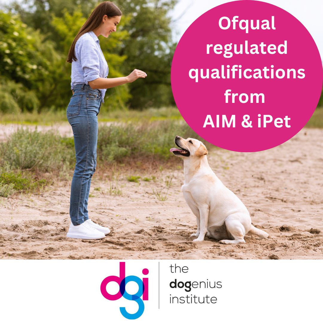 The Dogenius Institute on LinkedIn: #qualityeducation #ofqual # The Dogenius Institute on LinkedIn: #qualityeducation #ofqual #