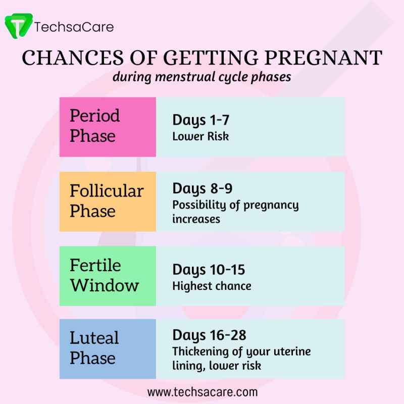 Unlocking the Mystery: Understanding Your Chances of Getting Pregnant.  Techsasapce.com, TechsaCare posted on the topic