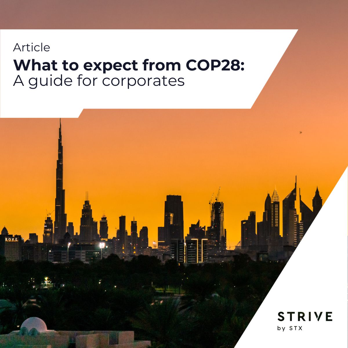 STRIVE by STX on LinkedIn: What to expect from COP28? - STRIVE by STX