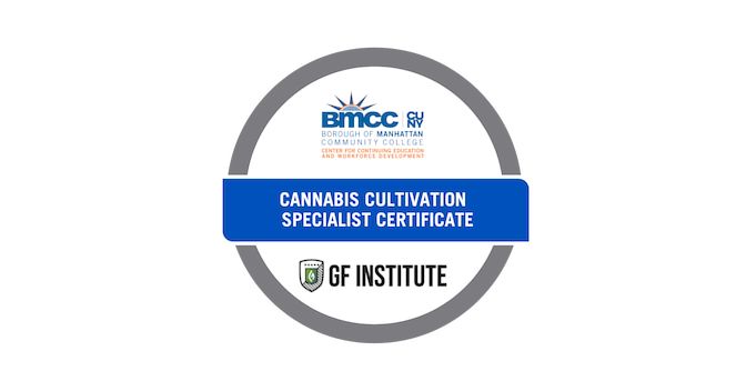 Jecquan Davis on LinkedIn: BMCC: Cannabis Cultivation Specialist Jecquan Davis on LinkedIn: BMCC: Cannabis Cultivation Specialist