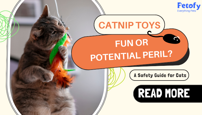 Catnip Toys Fun Or Potential Peril A