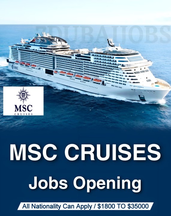 msc cruise job requirements