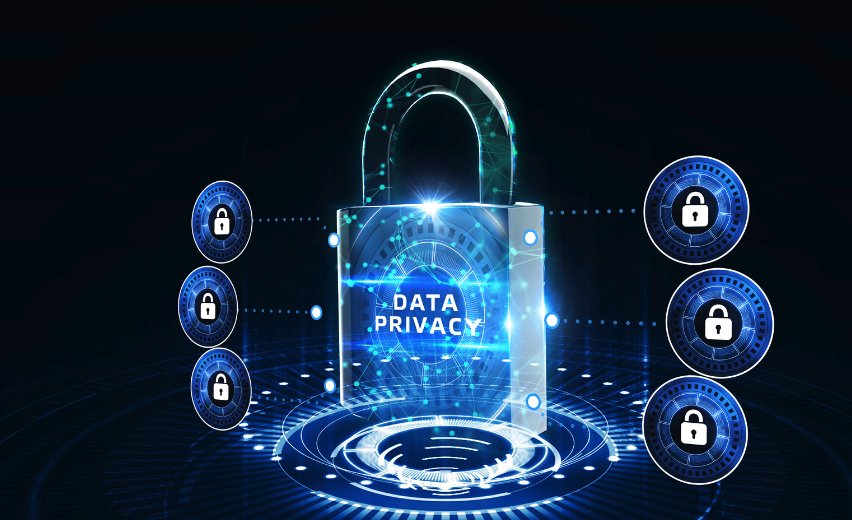 Safeguarding Data Privacy and Security