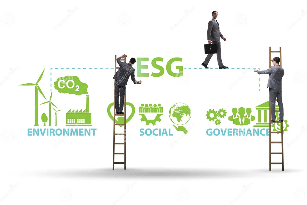 O que o gambito da rainha e a estruturação ESG têm em comum