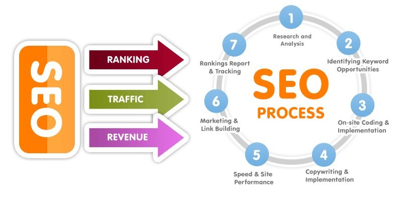 Image result for Unveiling Organic SEO: A Starter Guide infographics