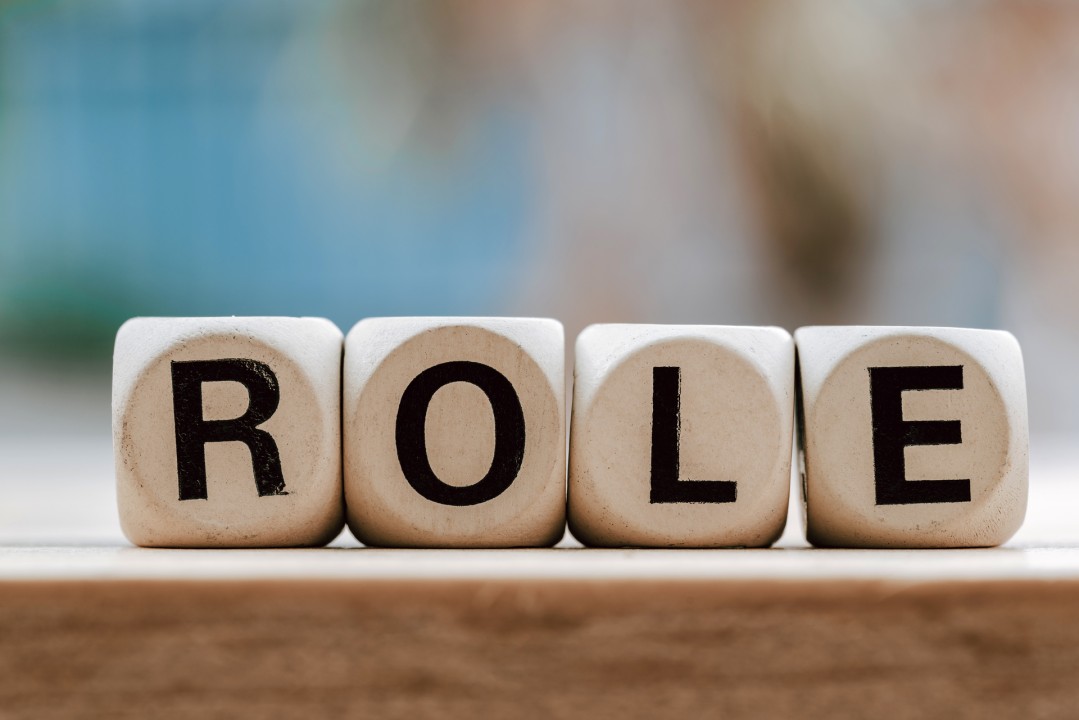 Product Management Roles Product Management Roles