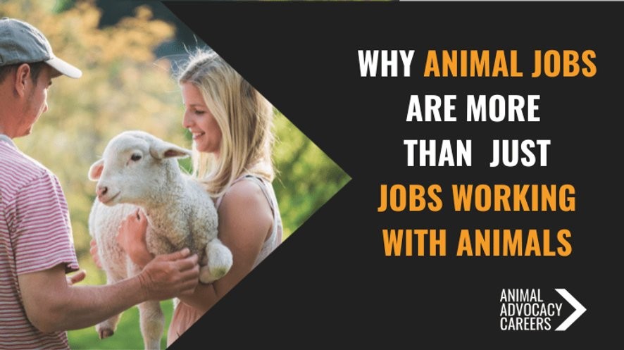 Animal Rights vs Animal Welfare