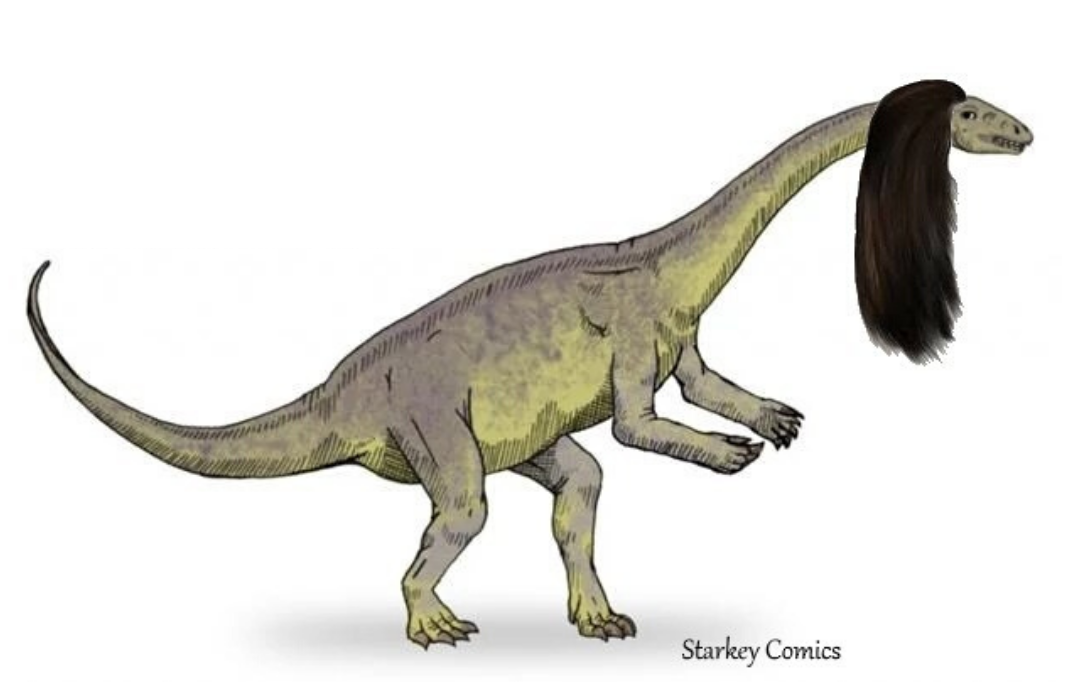 Dinossauros poderiam ter cabelo?