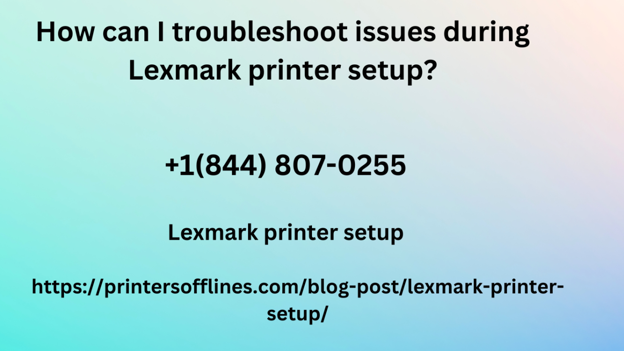 How can troubleshoot issues during Lexmark printer setup?