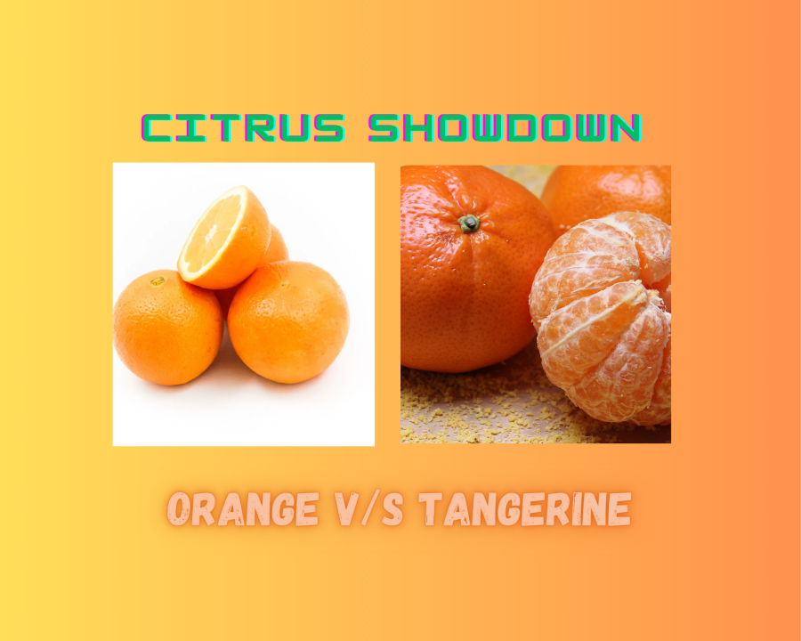Orange vs. Tangerine: Unveiling the Citrus Showdown