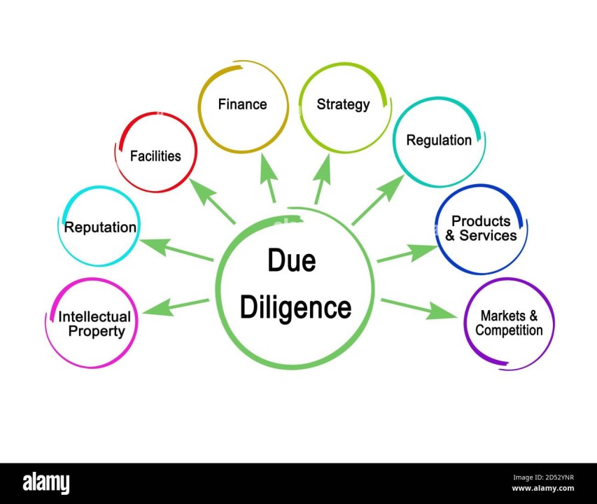 DUE DILIGENCE EXERCISE IN COMMERCIAL TRANSACTIONS 