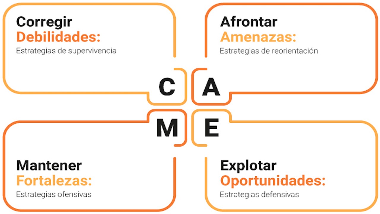 Análisis CAME para la orientación Una herramienta de acción Análisis CAME para la orientación Una herramienta de acción