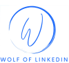 Artwork for Wolf of LinkedIn
