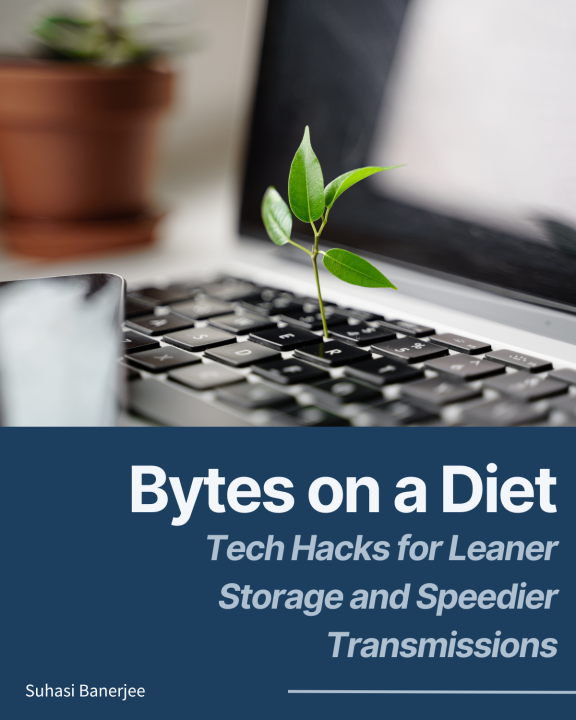 Bytes on a Diet: Tech Hacks for Leaner Storage and Speedier Transmissions Bytes on a Diet: Tech Hacks for Leaner Storage and Speedier Transmissions