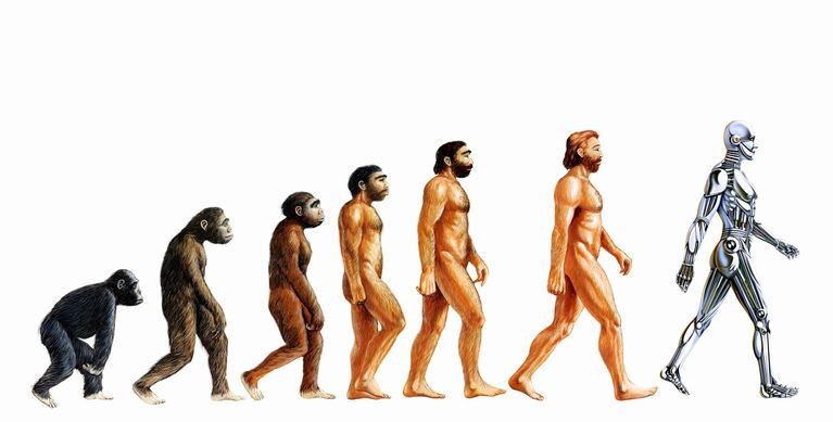 From Homo Sapiens through Homo Technologicus to Homo Cyberneticus 