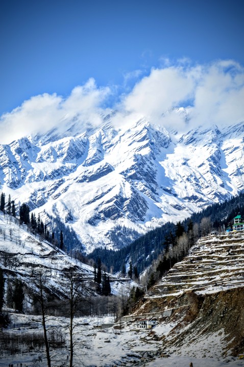7 Exciting Things That Himachal Pradesh Is Famous For
