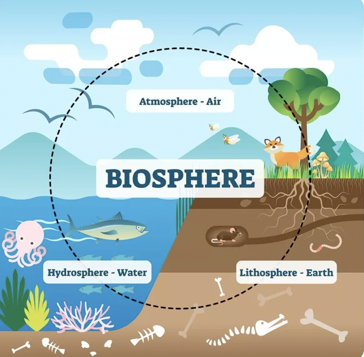 Earth: Biosphere: Climate Change:: Humans: Sustainability