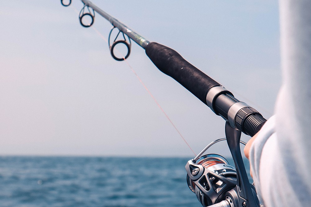 10 Best Surf Fishing Rods For Every Budget In 2024 - Ultimate Fisher