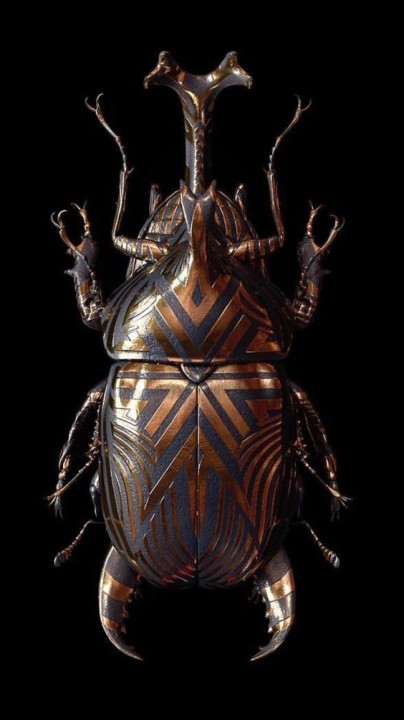 Porque escolhemos o escaravelho sagrado como nossa logomarca?